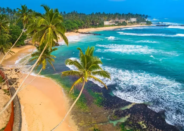 السفر إلى سيريلانكا sri lanka