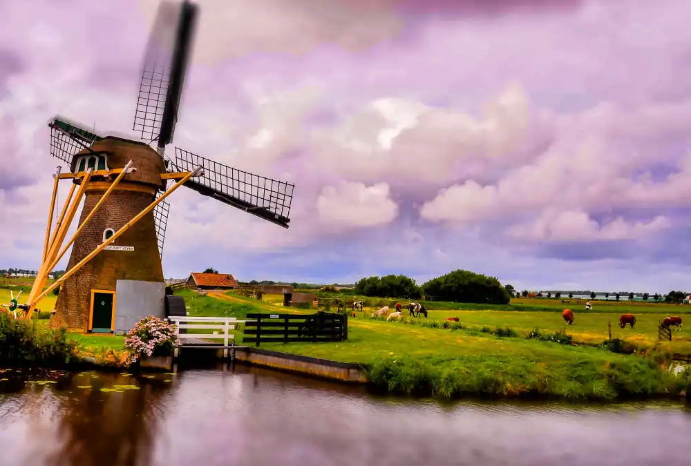 top things to do in amsterdamاماكن سياحية في امستردام